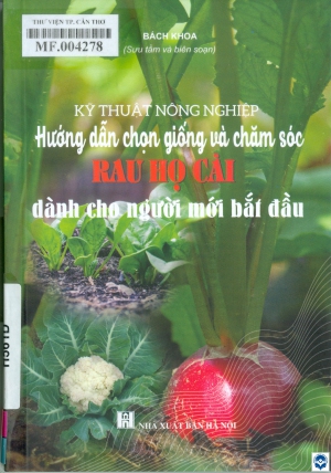 Hướng dẫn chọn giống và chăm sóc Rau họ cải dành cho người mới bắt đầu